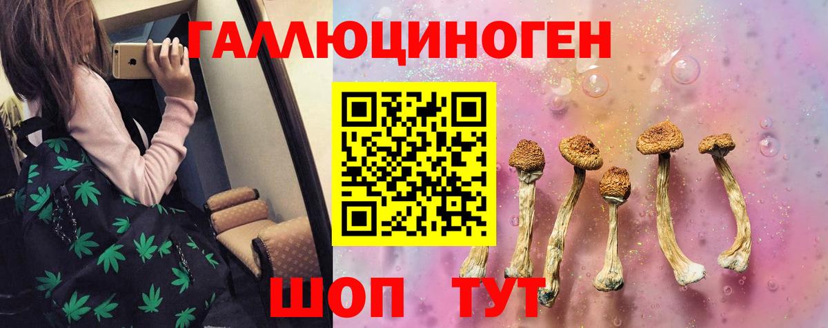 Псилоцибиновые грибы прущие грибы Кушва