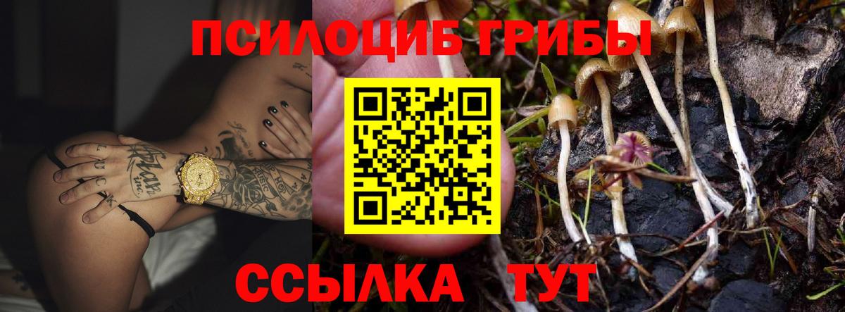 Галлюциногенные грибы мицелий  Вход с VPN  Кушва  Галлюциногенные грибы мухоморы 
